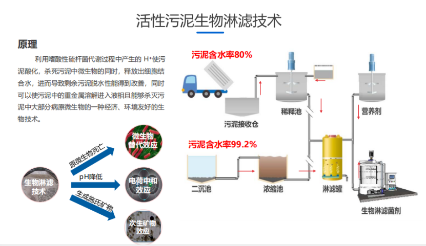 BioHip超低能耗污泥减量化使用手艺 - 焦点手艺 - 手艺立异 - 新环环保